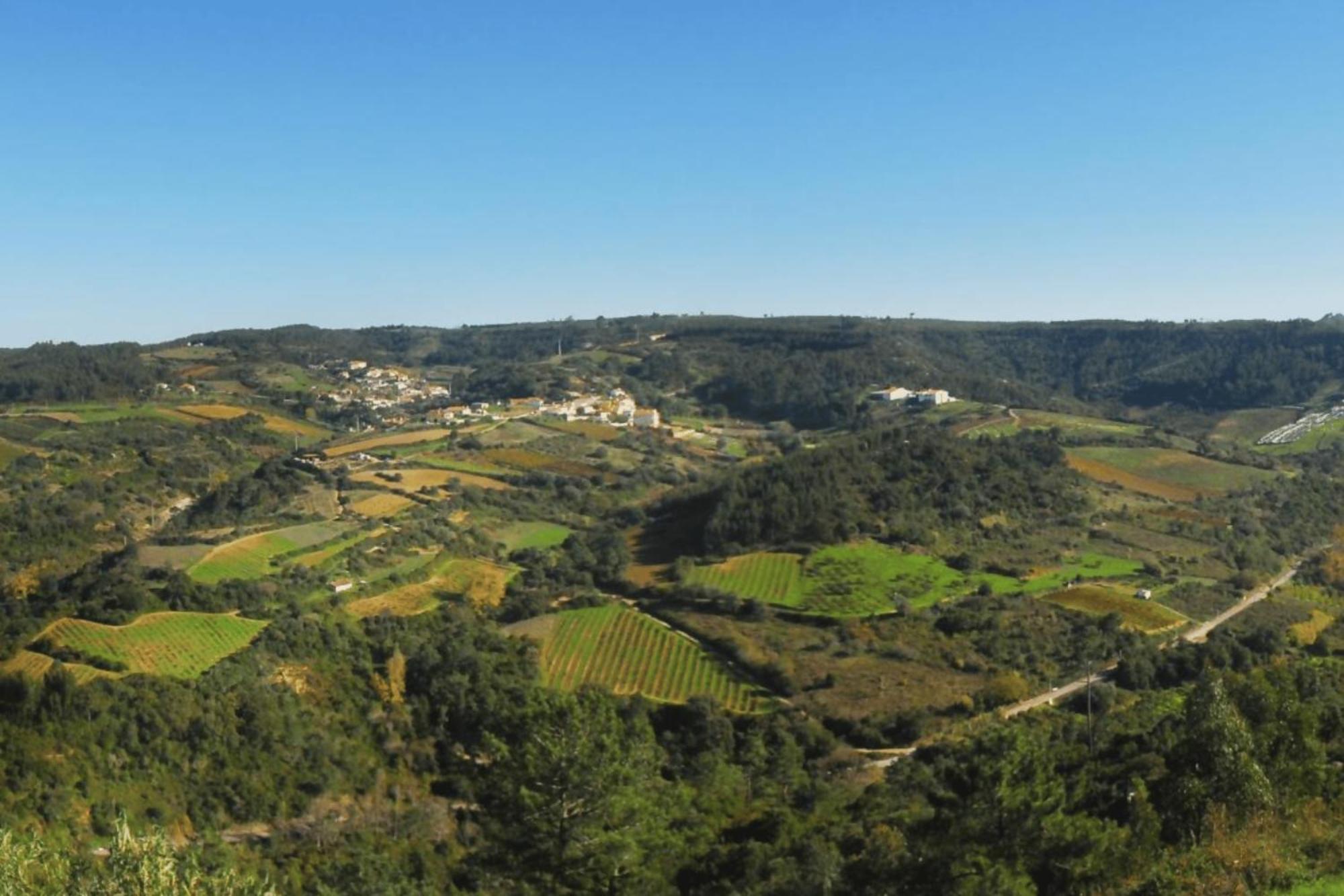 Casas Da Tia Alice - Casas De Campo Encantadoras Em Mafra Eksteriør bilde